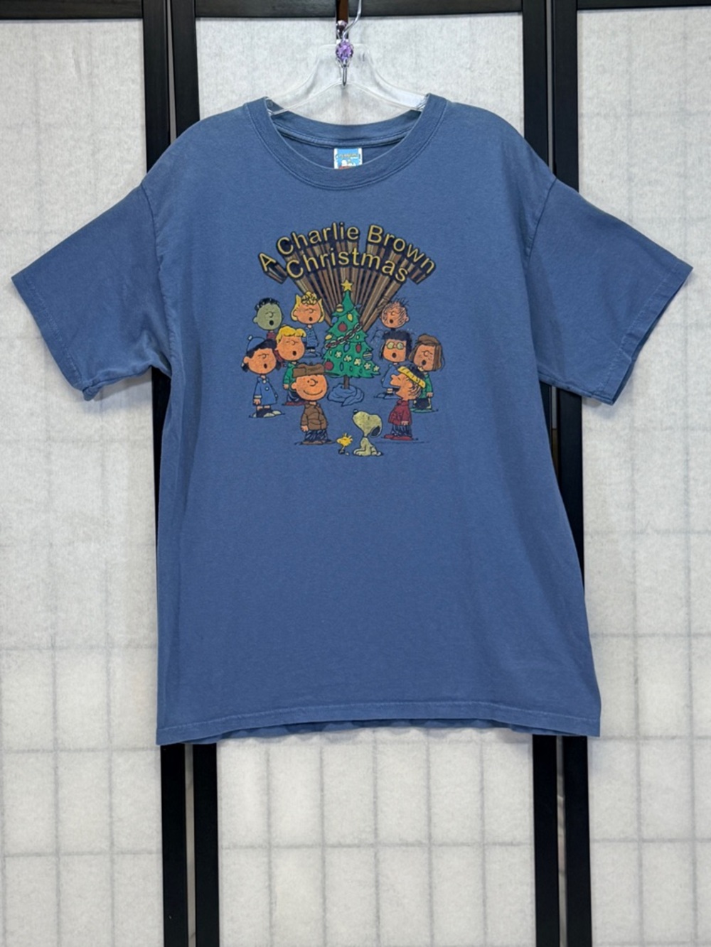 Unisex Gildan Charlie Brown Christmas Graphic Tee L Blue Classic Peanuts Holiday